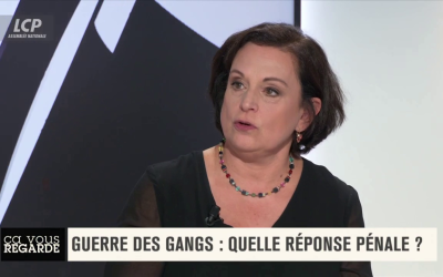Ça vous Regarde sur LCP : « Guerre des gangs et narcotrafic »- L’intégralité du débat et de mon intervention